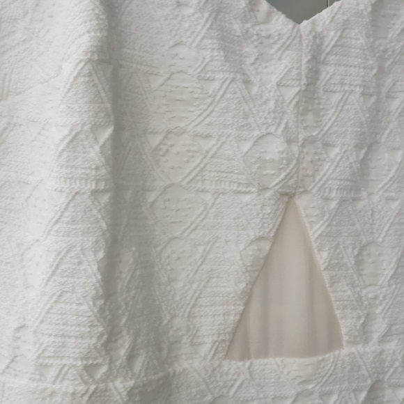 Zara trafaluc embroided strapped mini dress, Large, White, Spaghetti Stripe - Picture 9 of 10